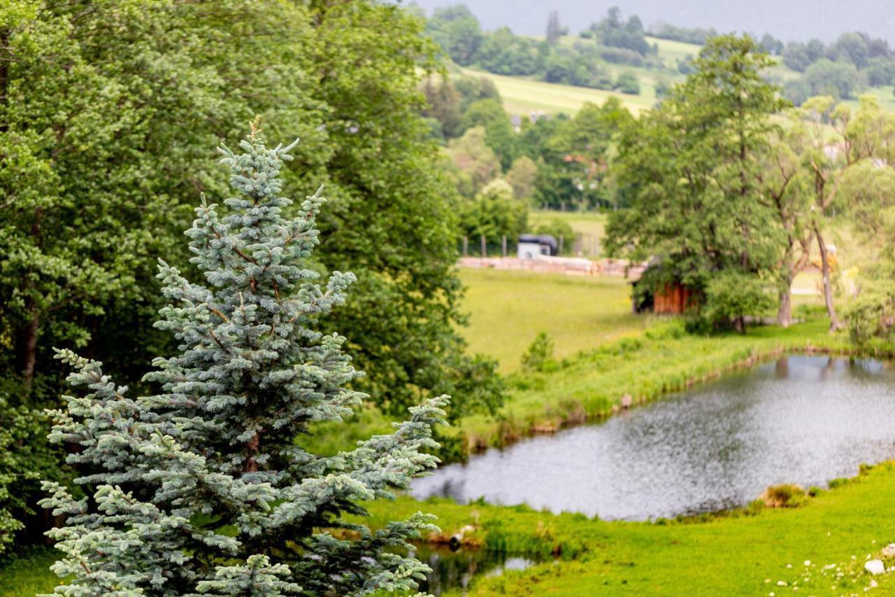 Ferienwohnung Semler Puchberg am Schneeberg Esterno foto